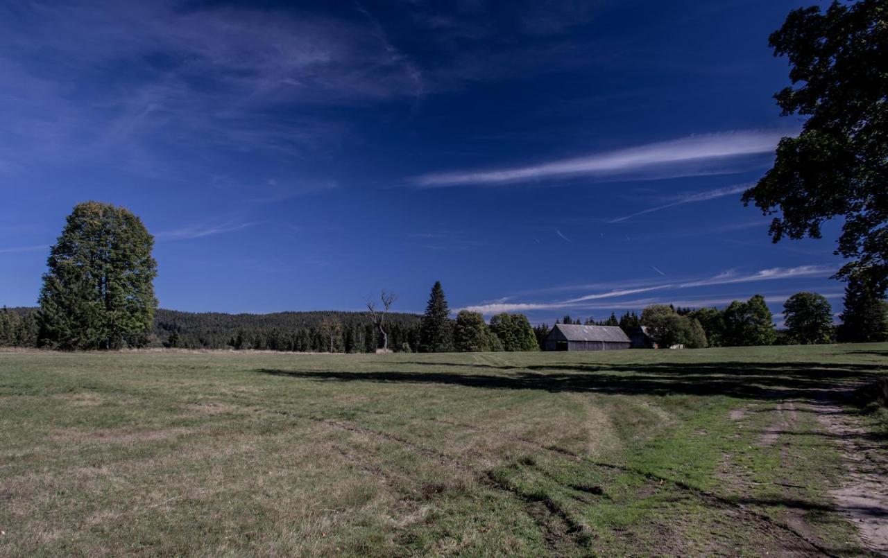 Na Losenici Nicov  Esterno foto