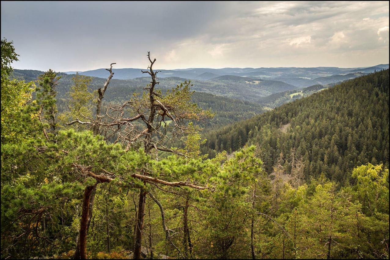 Na Losenici Nicov  Esterno foto