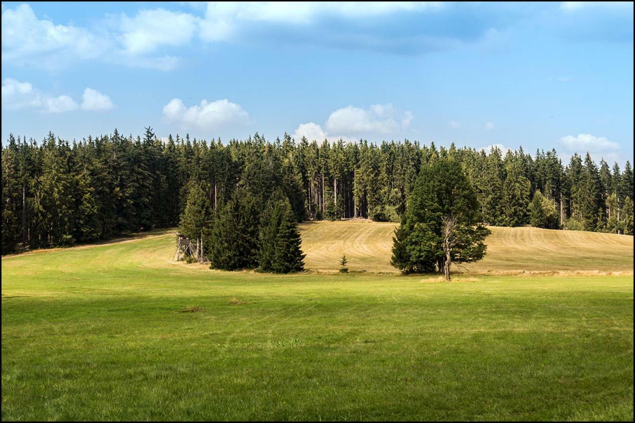 Na Losenici Nicov  Esterno foto