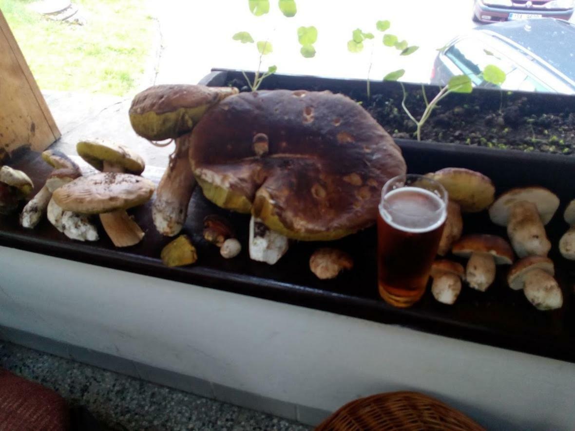 Na Losenici Nicov  Esterno foto