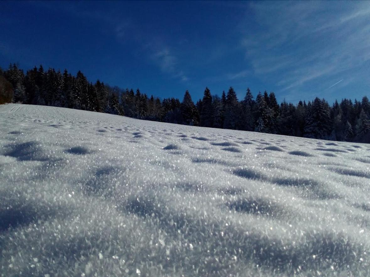 Na Losenici Nicov  Esterno foto